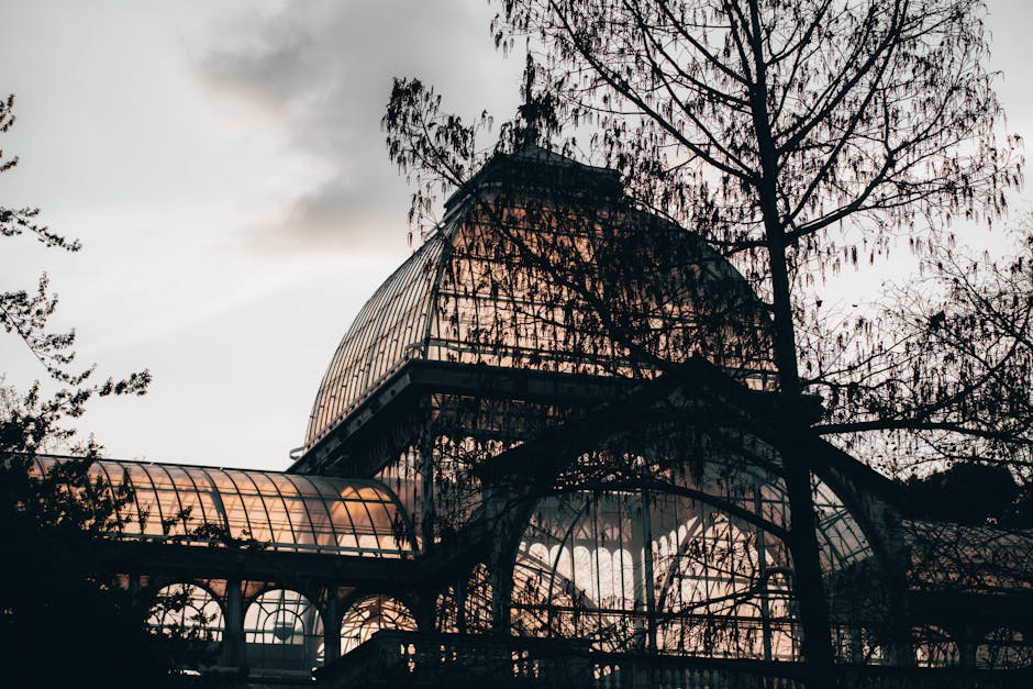 A large, ornate glass and iron greenhouse building located in Crystal Palace Park, with a central fountain in the pond in front of it. The structure features a curved glass roof with a decorative spire at the top, and multiple arched windows along its facade. Surrounding the building are tall trees with green foliage, some partially obscuring the structure. The scene is set on a clear day with blue skies and scattered white clouds. In the vicinity, visitors can be seen walking on the paved area leading up to the entrance, and some people are seated near the pond. For home relocation or furniture transport purposes, the image highlights the park's accessible pathways and open spaces that can facilitate loading or unloading items during removals, while the historic greenhouse provides a scenic backdrop for planning moving logistics near Crystal Palace. Removal Van Crystal Palace occasionally supports clients with such relocation needs within park surroundings.