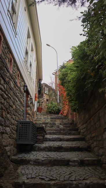 A steep outdoor concrete staircase leading from a lower garden area to an upper level, with a black metal handrail on the left side. The staircase is flanked by various potted plants and greenery on t